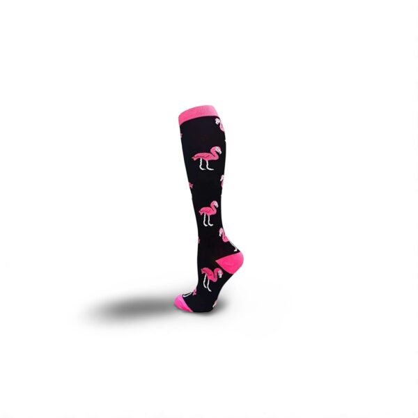 Flamingo's
