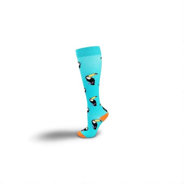 Toucan's